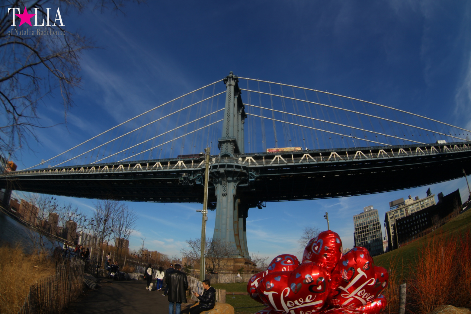 Manhattan Bridge in New York, USA